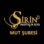Havva Tufan Profile Picture