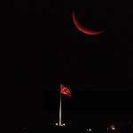 MuratCanpolat profile picture