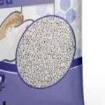 catlitter Profile Picture