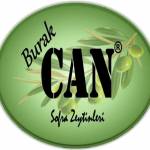 BURAK YILMAZ Profile Picture