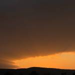 MAPLT Profile Picture