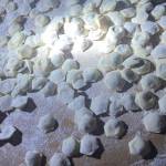 Zekiyedeger Profile Picture