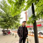 MehmetUgurel Profile Picture