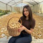 EcenurOguz Profile Picture