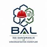 balisgdanismanlik Profile Picture