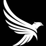 selcukvargun Profile Picture